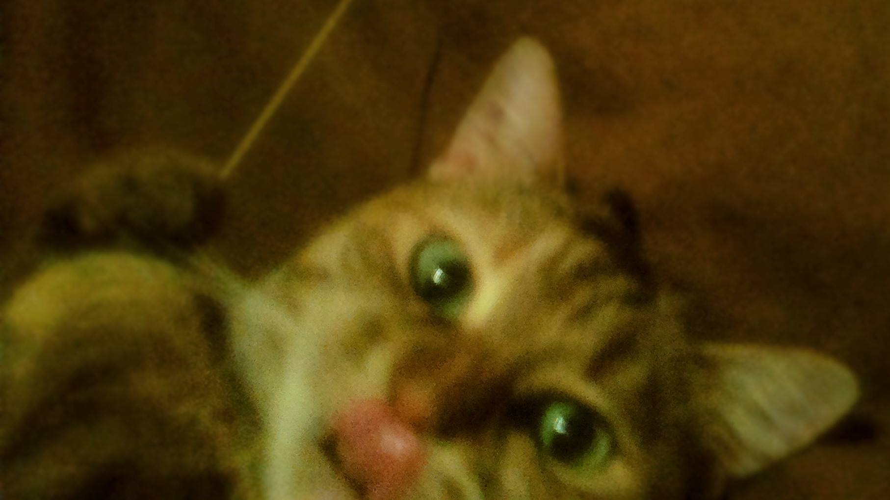Mimie